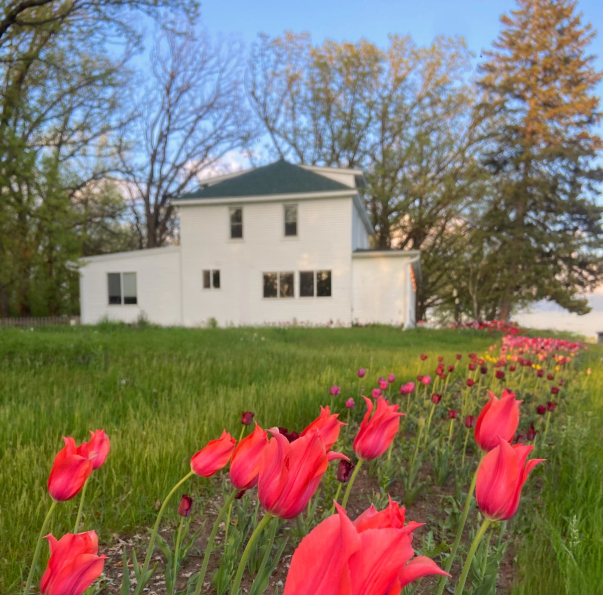 Elegant wedding accommodation room at Norse Flora