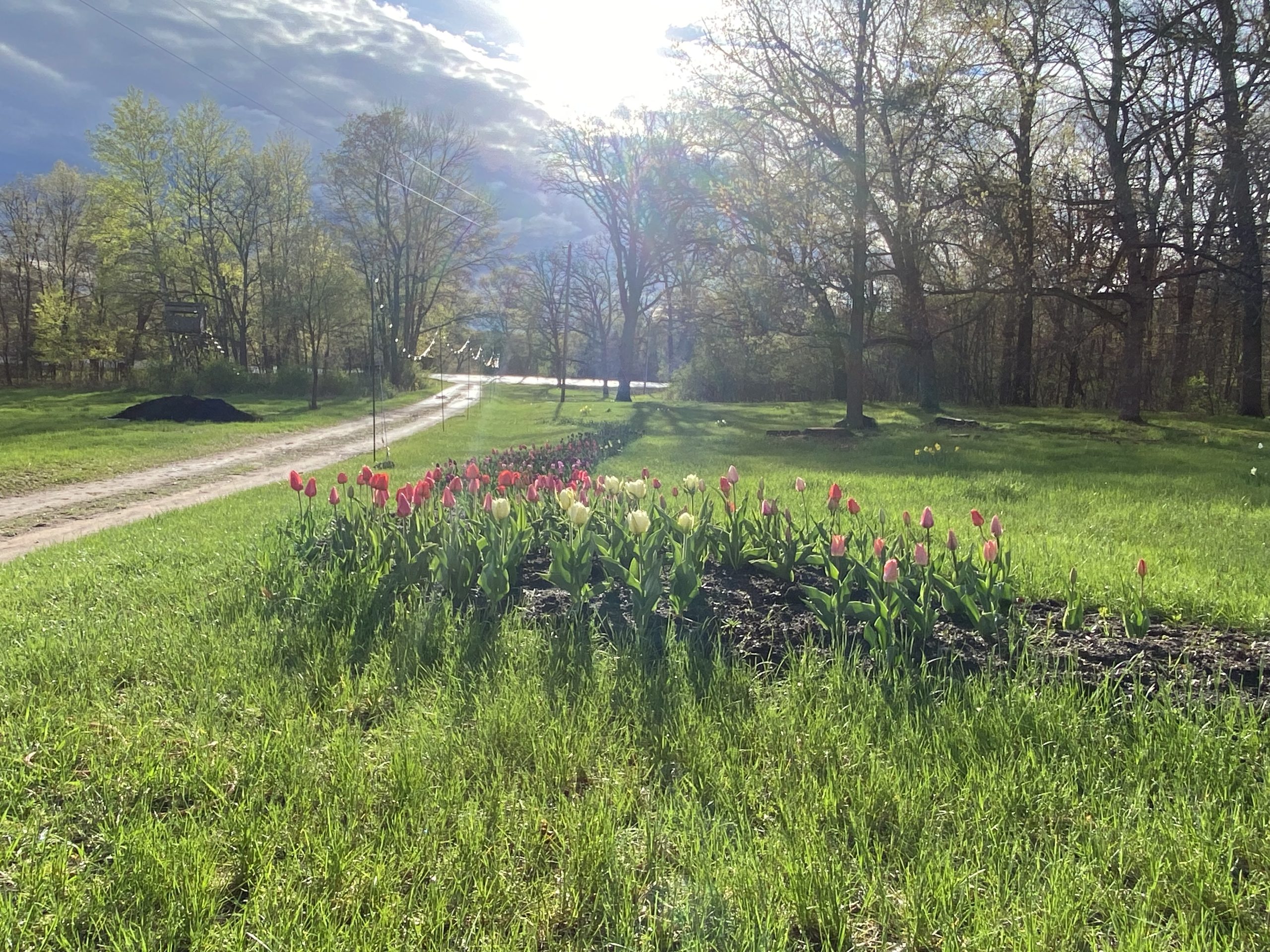 Romantic Farmhouse Wedding Venue in Mora, Minnesota